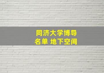 同济大学博导名单 地下空间